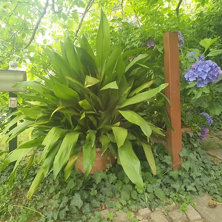 The Quiet Vendégház