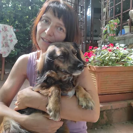 The Quiet Vendégház Pozzolatico